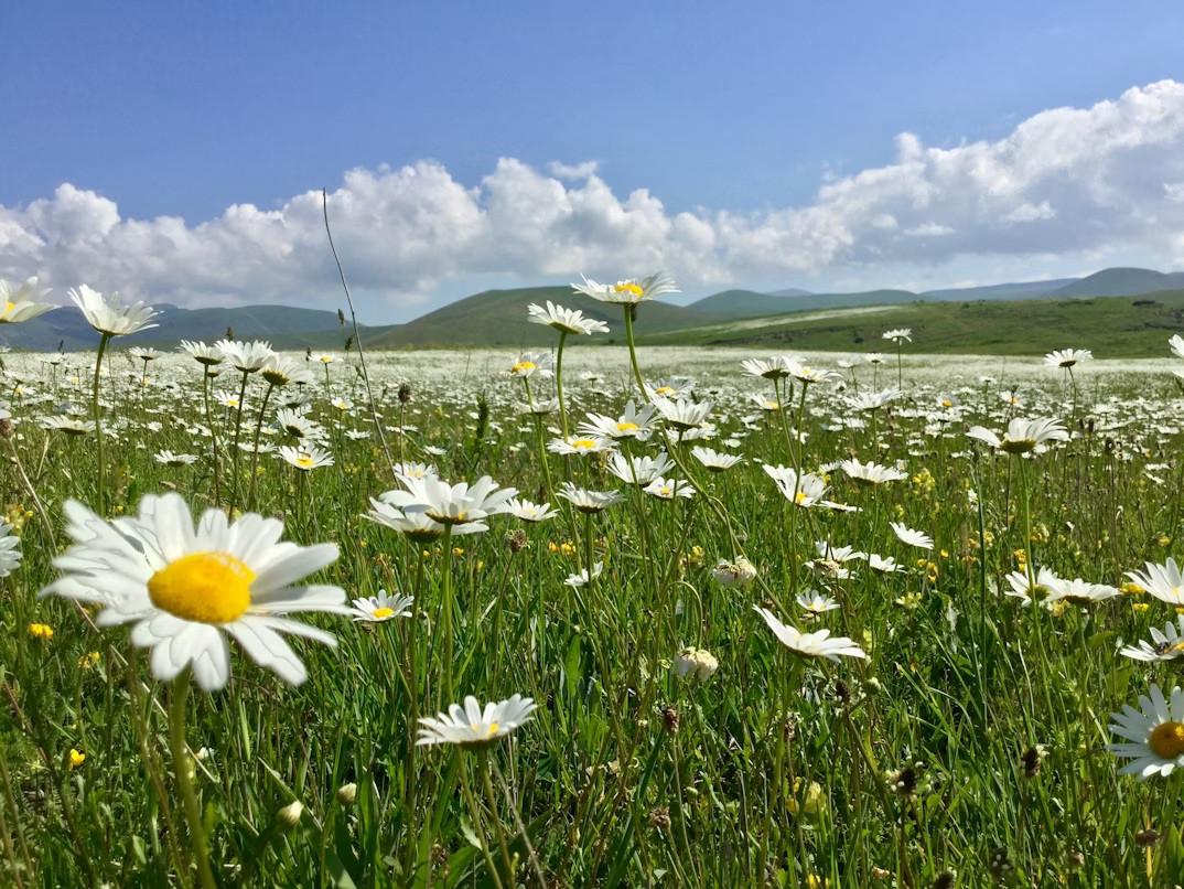 Spring